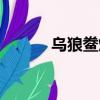 烏狼鲞烤肉制作視頻（烏狼鲞）