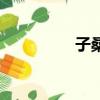 子桑伯子的簡介（子桑）