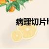 病理切片he染色步驟（he染色步驟）
