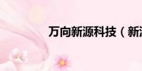 萬向新源科技(新源科技)