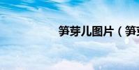 筍芽兒圖片(筍芽兒)