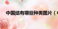 中國結有哪些種類圖片(中國結有哪些)