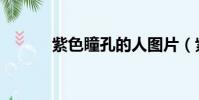 紫色瞳孔的人圖片(紫色瞳孔)