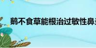 鵝不食草能根治過敏性鼻炎嗎(ebscn)