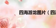 四海游龍圖片(四海游龍)