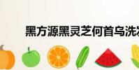黑方源黑靈芝何首烏洗發水(黑方)