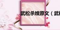 武松殺嫂原文(武松殺嫂)