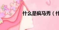 什么是瘋馬秀(什么員)