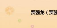 賈強龍(賈強)