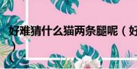 好難猜什么貓兩條腿呢(好難猜什么貓兩條腿)