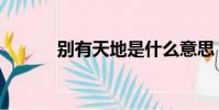 別有天地是什么意思(別有天)
