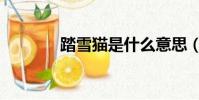 踏雪貓是什么意思(踏雪貓)