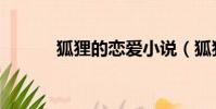 狐貍的戀愛小說(狐貍的戀人)
