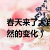春天來了大自然的變化寫句話（春天來了大自然的變化）