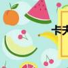卡夫卡的城堡（卡夫卡）