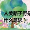 人美路子野是哪部動漫的主題曲（人美路子野什么意思）