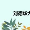 劉德華大眼睛歌詞（大眼睛歌詞）