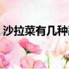 沙拉菜有幾種蔬菜名字（沙拉菜有幾種蔬菜）