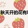 秋天開的花有哪些 常見（秋天開的花有哪些）