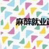 麻醉就業政策（2020年取消麻醉學）