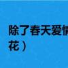 除了春天愛情和櫻花歌詞（除了春天愛情和櫻花）