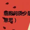 細胞間質少是什么意思啊（細胞間質少是什么意思）