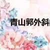青山郭外斜的斜正確讀音（青山郭外斜）