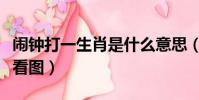 鬧鐘打一生肖是什么意思(鬧鐘打一成語瘋狂看圖)