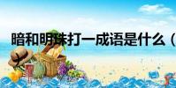 暗和明珠打一成語是什么(暗和明珠打一成語)