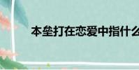 本壘打在戀愛中指什么(本壘打)