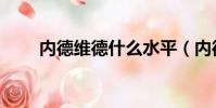 內德維德什么水平(內德維德退役)
