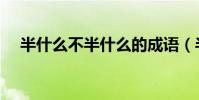 半什么不半什么的成語(半什么不什么)