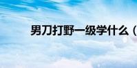 男刀打野一級學什么(男刀打野)