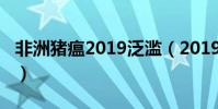 非洲豬瘟2019泛濫(2019非洲豬瘟已經失控)