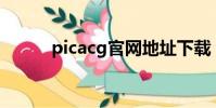 picacg官網地址下載(pigacg)
