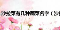 沙拉菜有幾種蔬菜名字(沙拉菜有幾種蔬菜)
