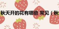 秋天開的花有哪些 常見(秋天開的花有哪些)