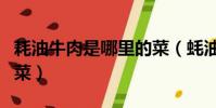 耗油牛肉是哪里的菜(蠔油牛肉是什么地方的菜)
