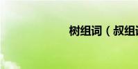 樹組詞(叔組詞)