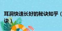 耳洞快速長好的秘訣知乎(耳洞快速長好的秘訣)