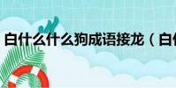 白什么什么狗成語接龍(白什么什么狗成語)