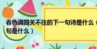 春色滿園關不住的下一句詩是什么(春色滿園關不住的下一句是什么)
