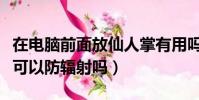 在電腦前面放仙人掌有用嗎(電腦前放仙人掌可以防輻射嗎)