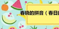 春曉的拼音(春日的拼音)