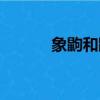 象鼩和鼩鼱有什么區別（象鼩）