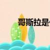 哥斯拉是什么恐龍（哥斯拉是什么）
