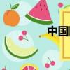中國網民英文(網民英文)