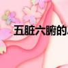 五臟六腑的思維導圖(五臟六腑的拼音)