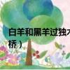 白羊和黑羊過獨木橋你想對他們說什么（白羊和黑羊過獨木橋）