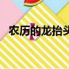 農歷的龍抬頭是哪一天（龍抬頭是哪一天）